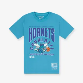 Charlotte Hornets Division Arch Vintage Tee - Faded Teal