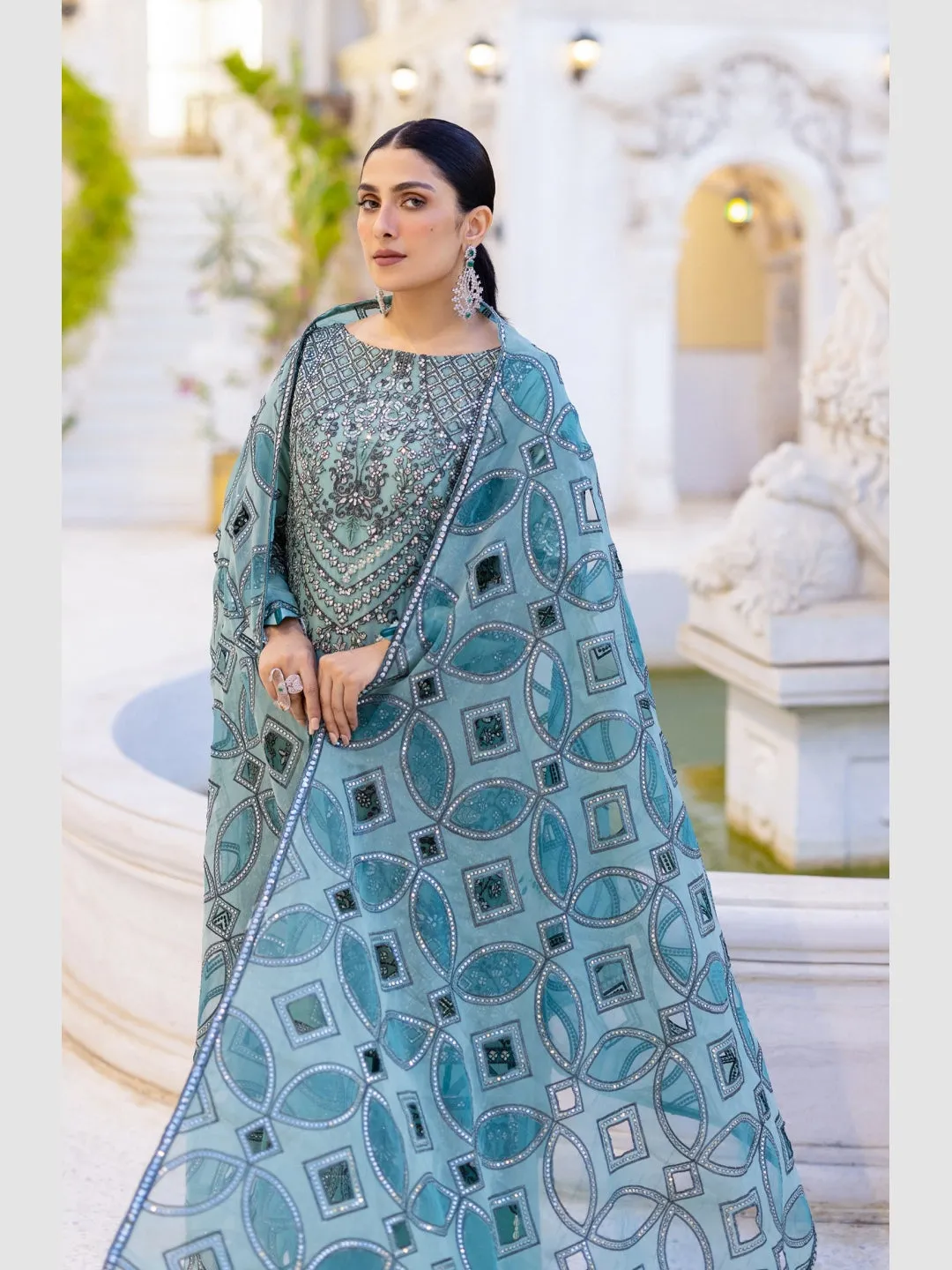 Designer Chiffon Embroidered