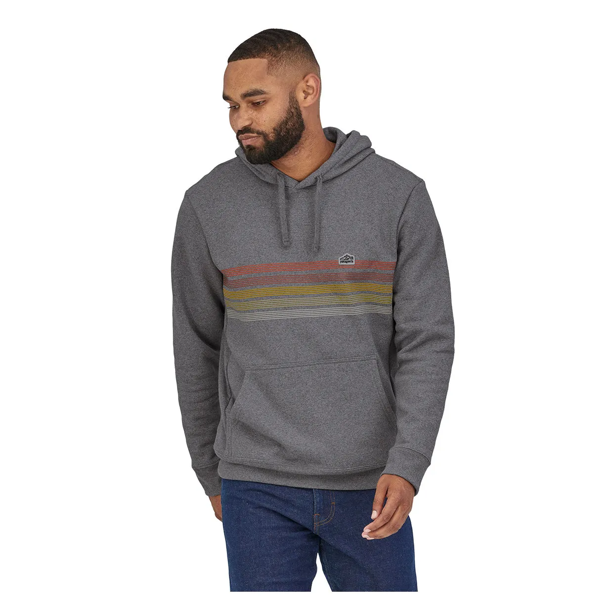 Felpa Patagonia Line Logo Ridge Stripe Uprisal Grigio