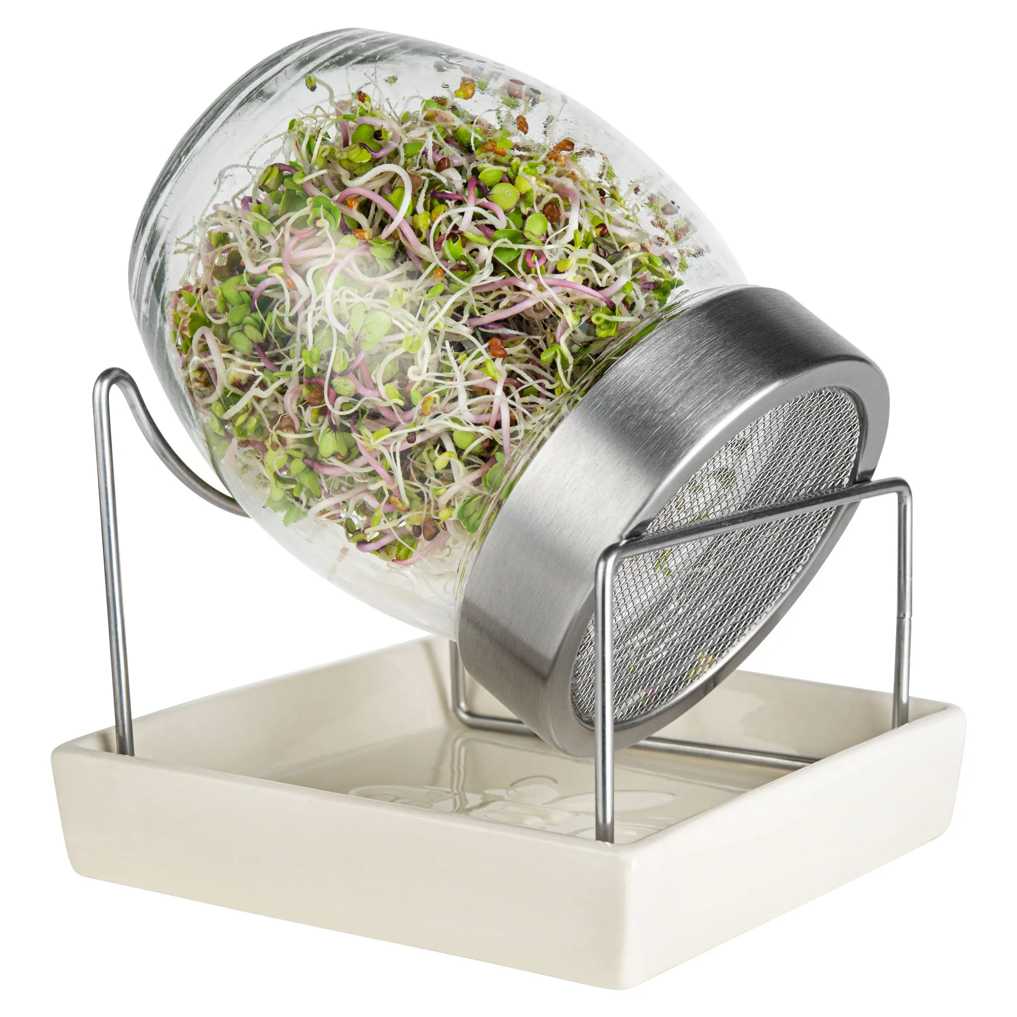 GEO Sprouting Jar System with Stainless Steel Rack and Ceramic Base Plate