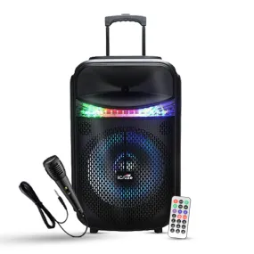 iCruze Carnival  BT Party Speaker