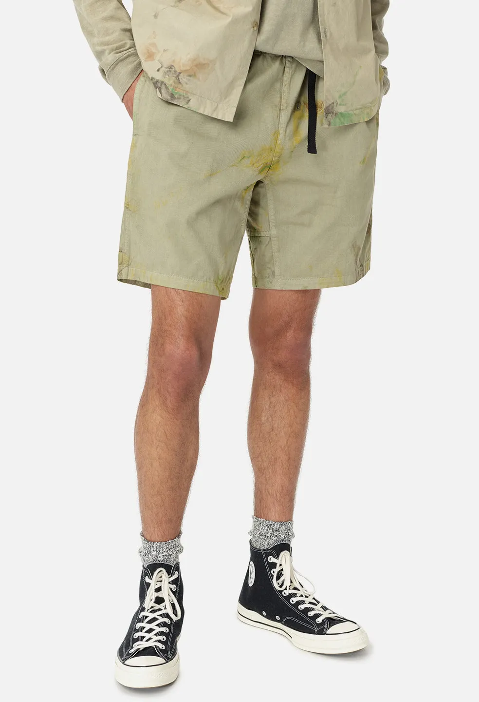 Mountain Shorts / Carnival Sage