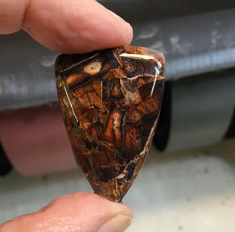 Patagonia Brecciated Jasper Cabochon