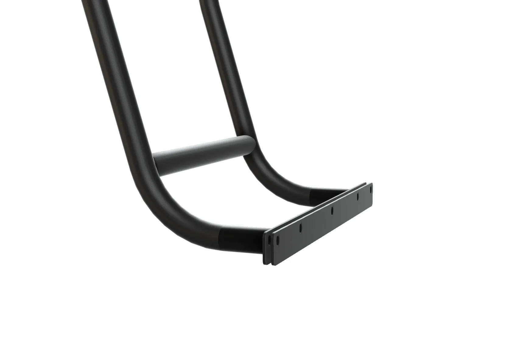 Promaster Stealth  Side Ladder